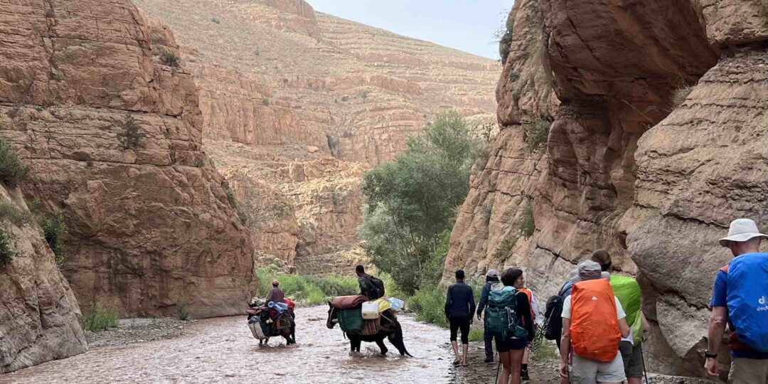 VALLÉE DES ROSES – SUD EST MAROCAIN #5